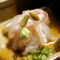 瓢亭 本店 - 明石の鯛、細造り