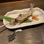 小川の魚 - 