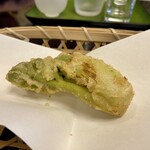 よし町 - たらの芽　ほくっとするほど大きい芽