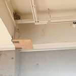 アンダー ザ パルモ ハヤマ - 