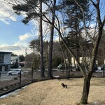 Regina Resort Karuizawa Mikage Yosui