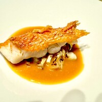 Restaurant COCON (鎌倉古今) - 