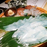 寅八商店 心斎橋店 - 泳ぎ烏賊お造り♪