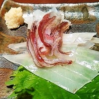 寅八商店 心斎橋店 - えんぺらとゲソ部分もお造りで♪