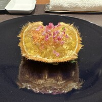 イル アオヤマ - 