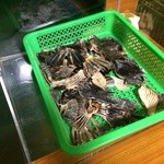 夕凪橋 多古安 - ひれ酒用のひれ