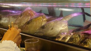 Izakaya Kihachi - この日のお魚の頭 鯛は 3.4kg あったそう