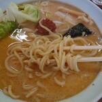 やなぎ茶屋 - 角田辛味噌アホえんラーメン_1080円　麺アップ