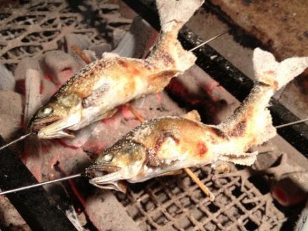 Loites レストラン 飲食店の検索 銀ゼロ 銀zero