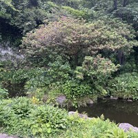 古我邸 - 