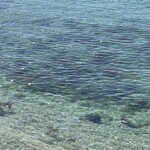 漁師料理 かなや - 歩いてる途中のショット③