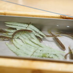 三宅輝 - 