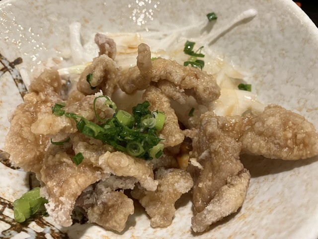 Tori Katsu Nakagami Ten photo 5