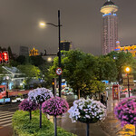 上海丽笙精选海仑宾馆 - 