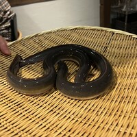 炭焼鰻 寝床 福島店 - 