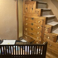 先斗町 四季 よし菜 - 