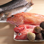 日本料理たけなか - 