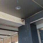 友部SA上り スナックコーナー - 