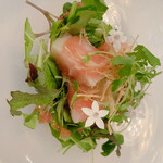 シノワフジモリ - 