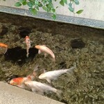 鴨川グランドホテル - 