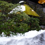 うかい鳥山 - 中庭にはまだこんなに雪が