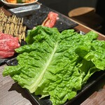 Yakiniku Tabehoudai Karubi To Tan - チシャ菜を巻いたら無限に食べられるよ♥️