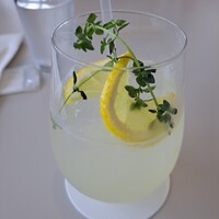 CODA ROSSA -  CODA ROSSA -