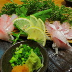 Sakana To Sake Hanatare - 