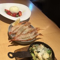 THE RIGOLETTO -  THE RIGOLETTO -