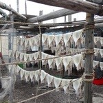 めめちゃんの店 - イガ～