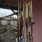 めめちゃんの店 - たご～