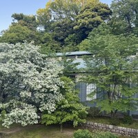 ひつまぶし 備長 本店 - 