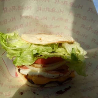 SANTA MONICA 糸島_0