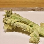 玄水 - 天然のタラの芽