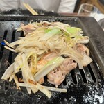 フジヤマドラゴン - 