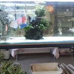 cafe nekoji - 熱帯魚