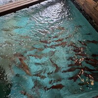 河太郎 中洲本店 - 