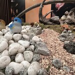 Zenseki Private rooms Izakaya Shinobuya Tokai Ten - 