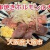串焼きホルモン山大