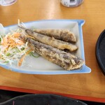 大津漁協直営市場食堂 - 