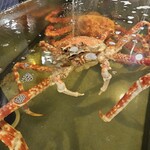 ヤマヤ鮮魚店 弥平 - 