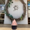 葡萄屋kofu ハナテラスcafe - 料理写真: