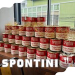PIZZERIA SPONTINI - 