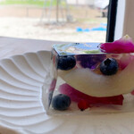 Sharolt Herb Tea - 투명한 젤리 테리누