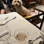 Le Chien Kyu Karuizawa