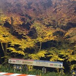 鶏匠舞 佐平 - 貴船駅