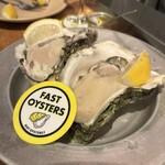 FAST OYSTERS - 