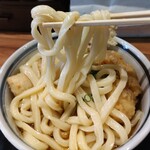 Udon Ganjin - 鶏ちく天 冷 の麺