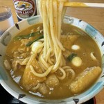 Segawa - 豊橋カレーうどん麺アップ