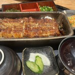 Unagi Yondai Me Kikukawa - 